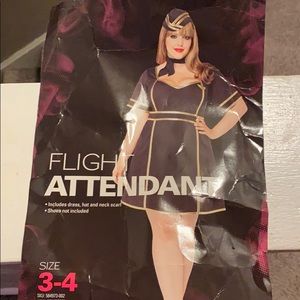 flight attendant costume